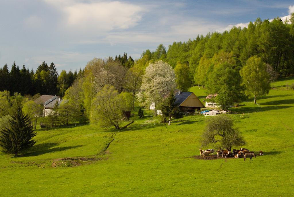 Penzion Stara Vapenka Svinná Exteriör bild